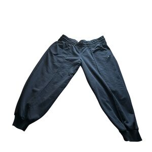 Air Jordan joggers